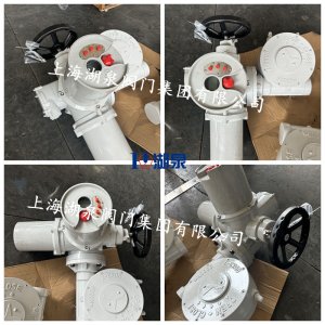 6000Nm電動執(zhí)行器帶蝸輪減速機QDX3-7